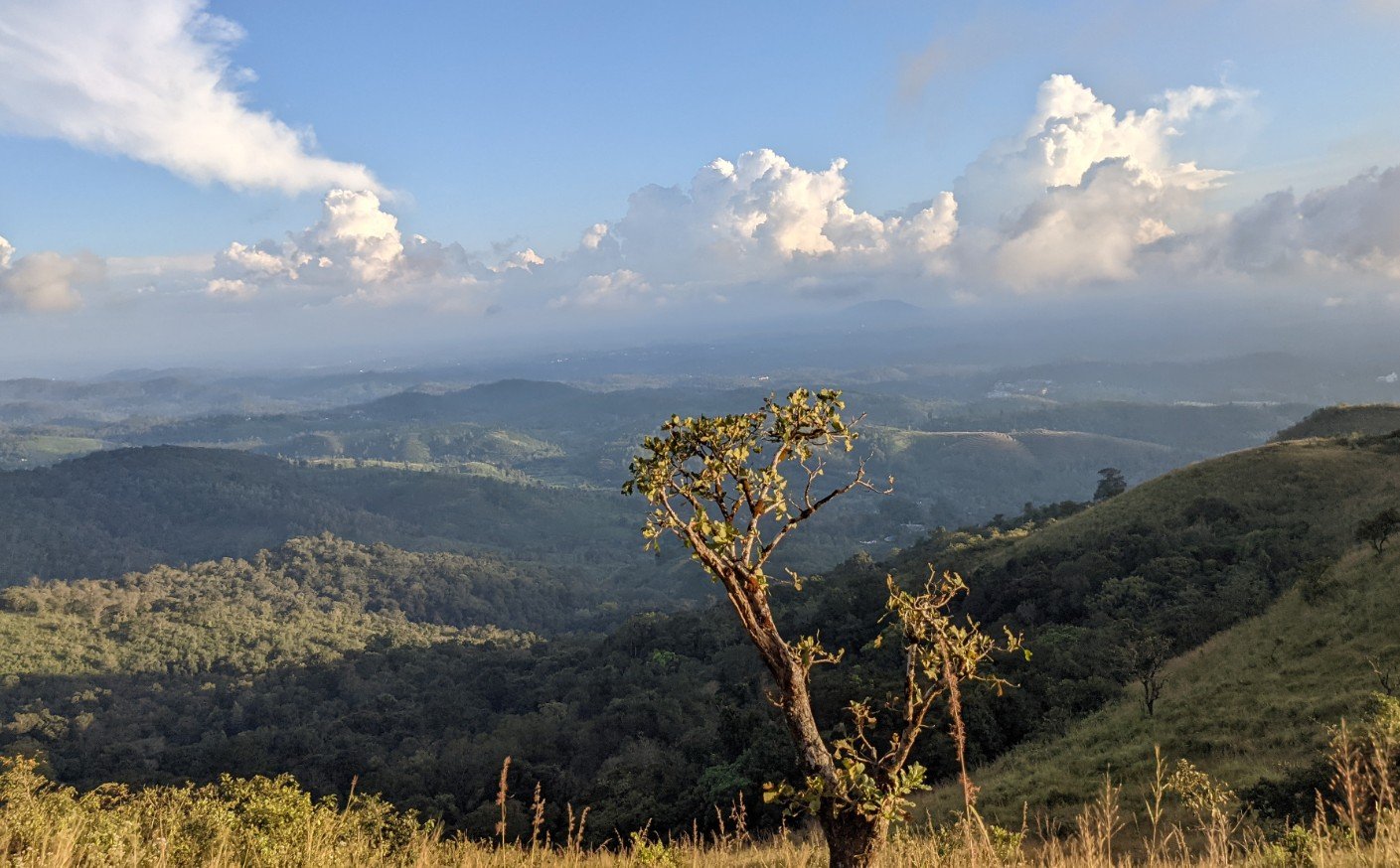 Muneeswaran Kunnu Viewpoint, Wayanad, Kerala - Vushii.com